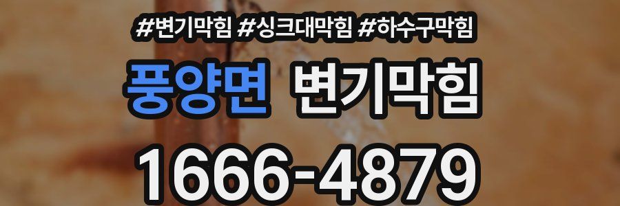 변기막힘