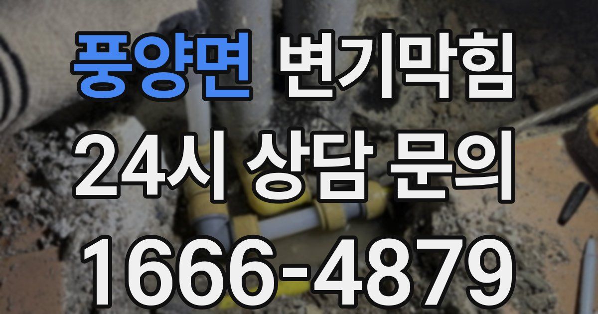 풍양면 변기