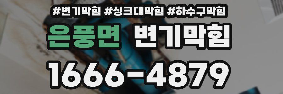 변기막힘