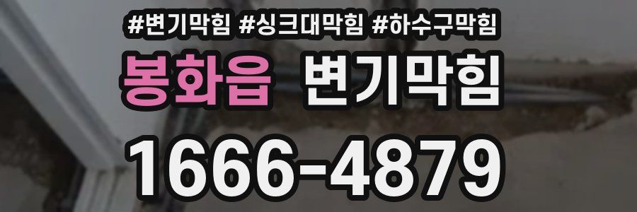 변기막힘