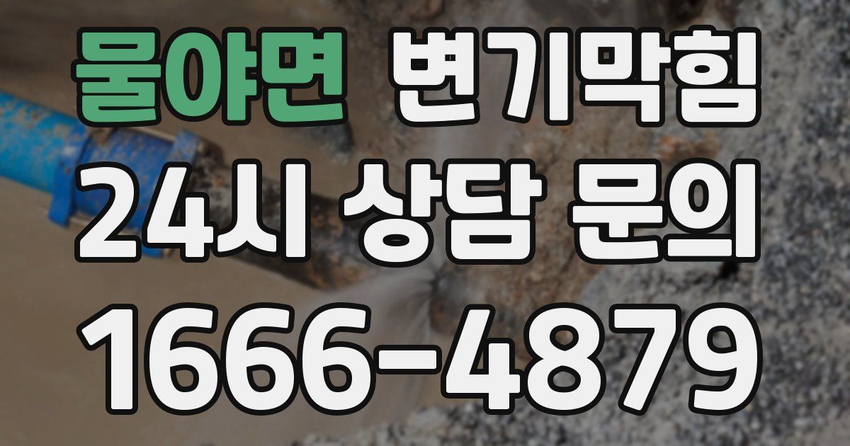 물야면 변기