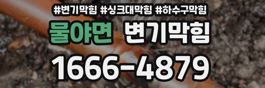 변기막힘