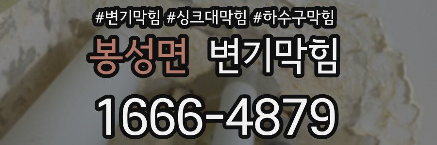 변기막힘