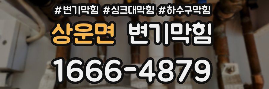 변기막힘