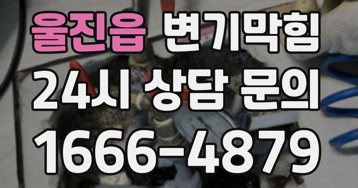 울진읍 변기