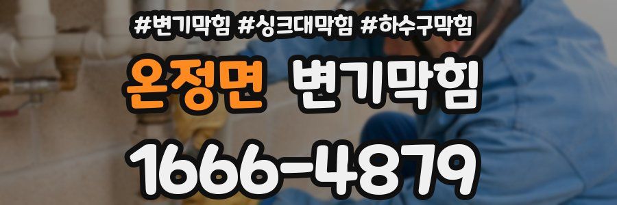 변기막힘