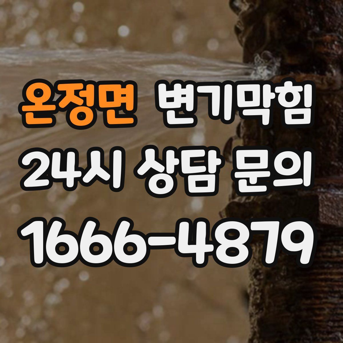 온정면 변기막힘