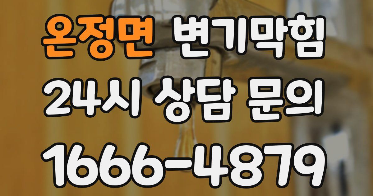 온정면 변기