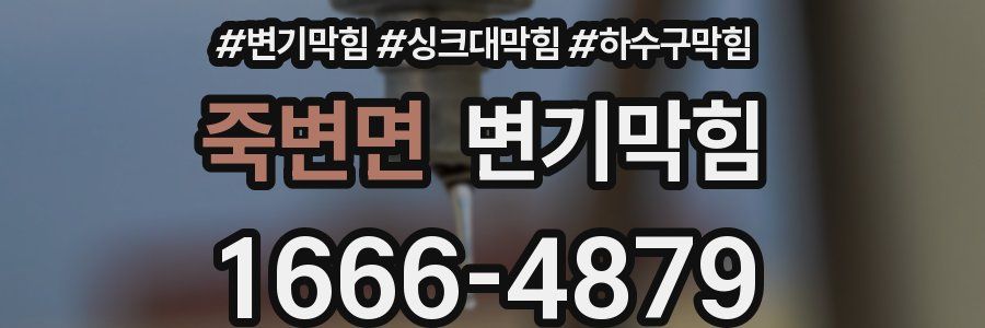 변기막힘