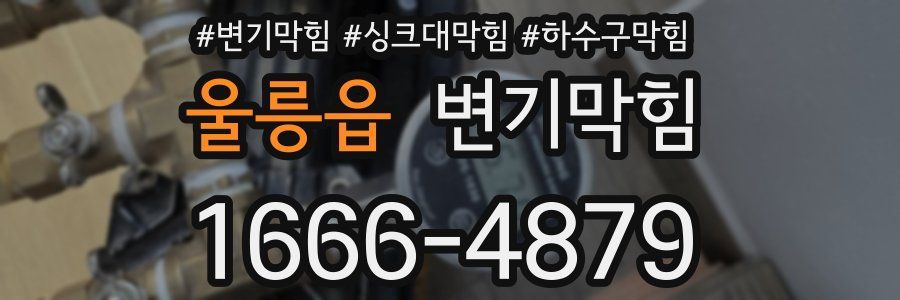 변기막힘