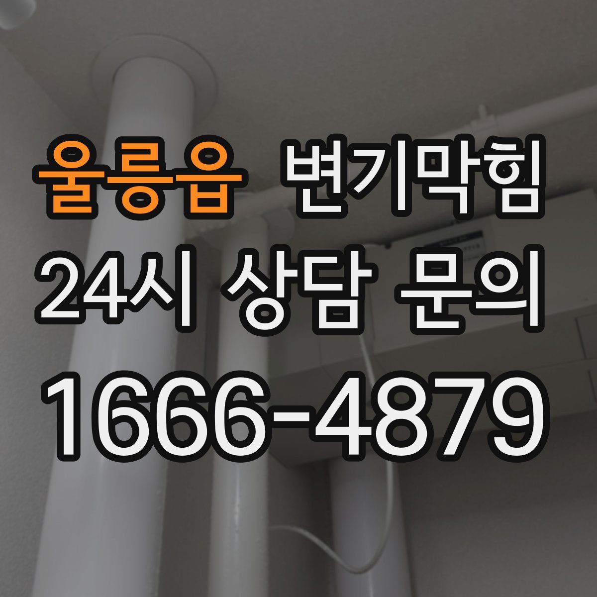 울릉읍 변기막힘