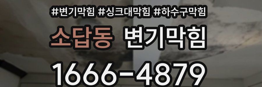 변기막힘
