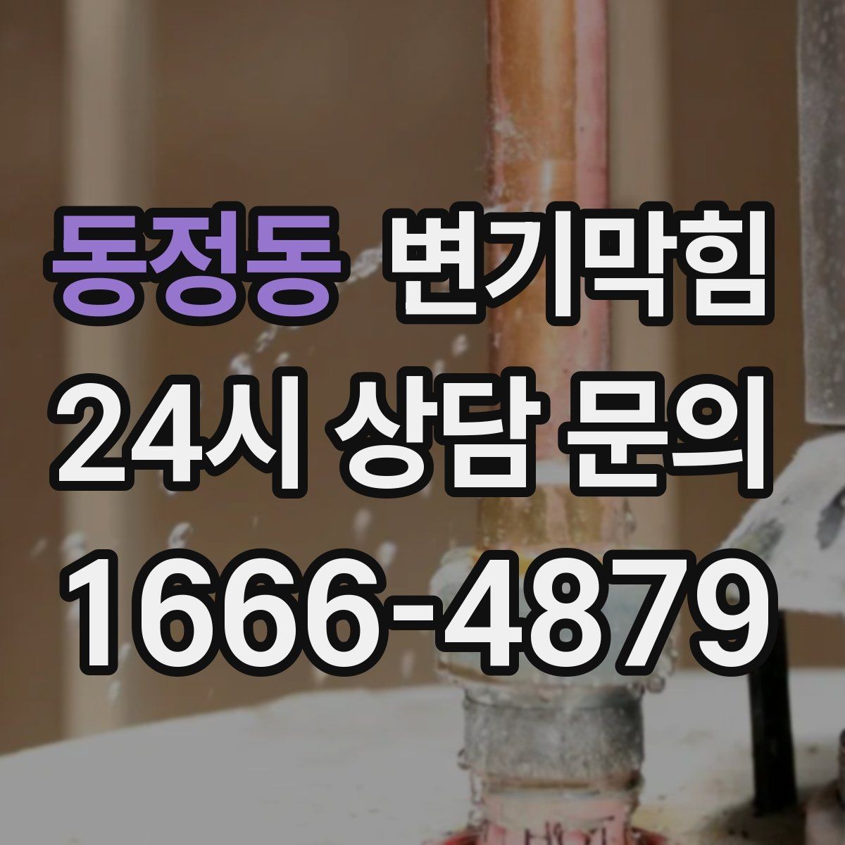 동정동 변기막힘 식당 화장실역류 합류부 정밀 세척