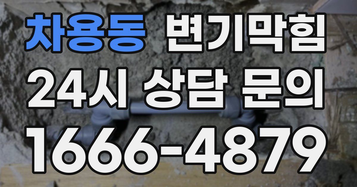 차용동 변기
