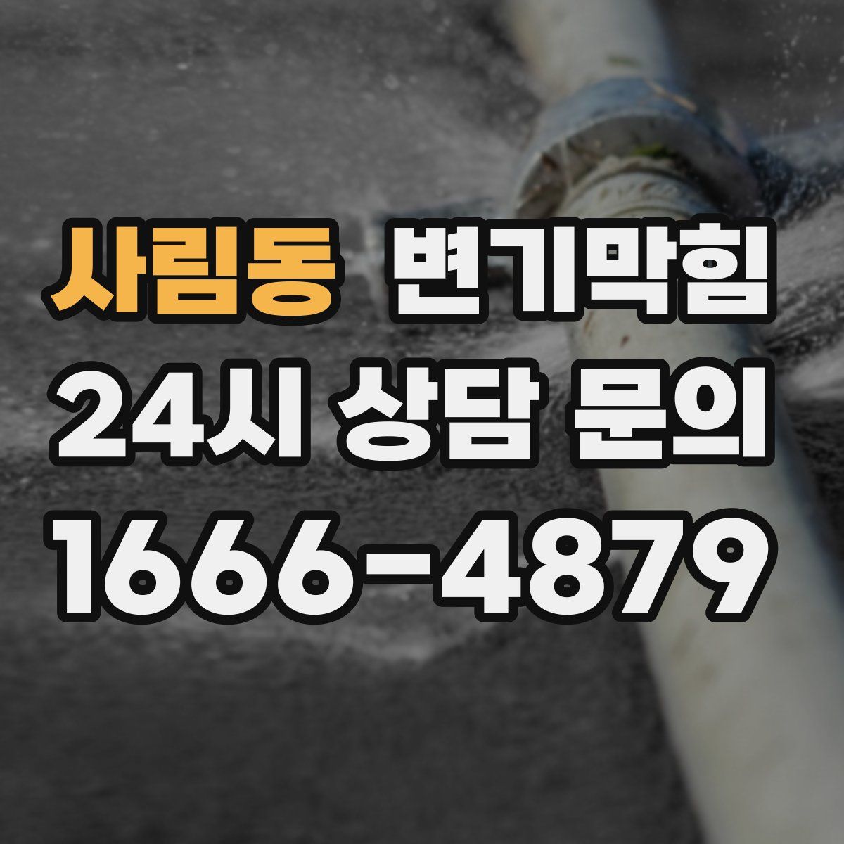 사림동 변기막힘