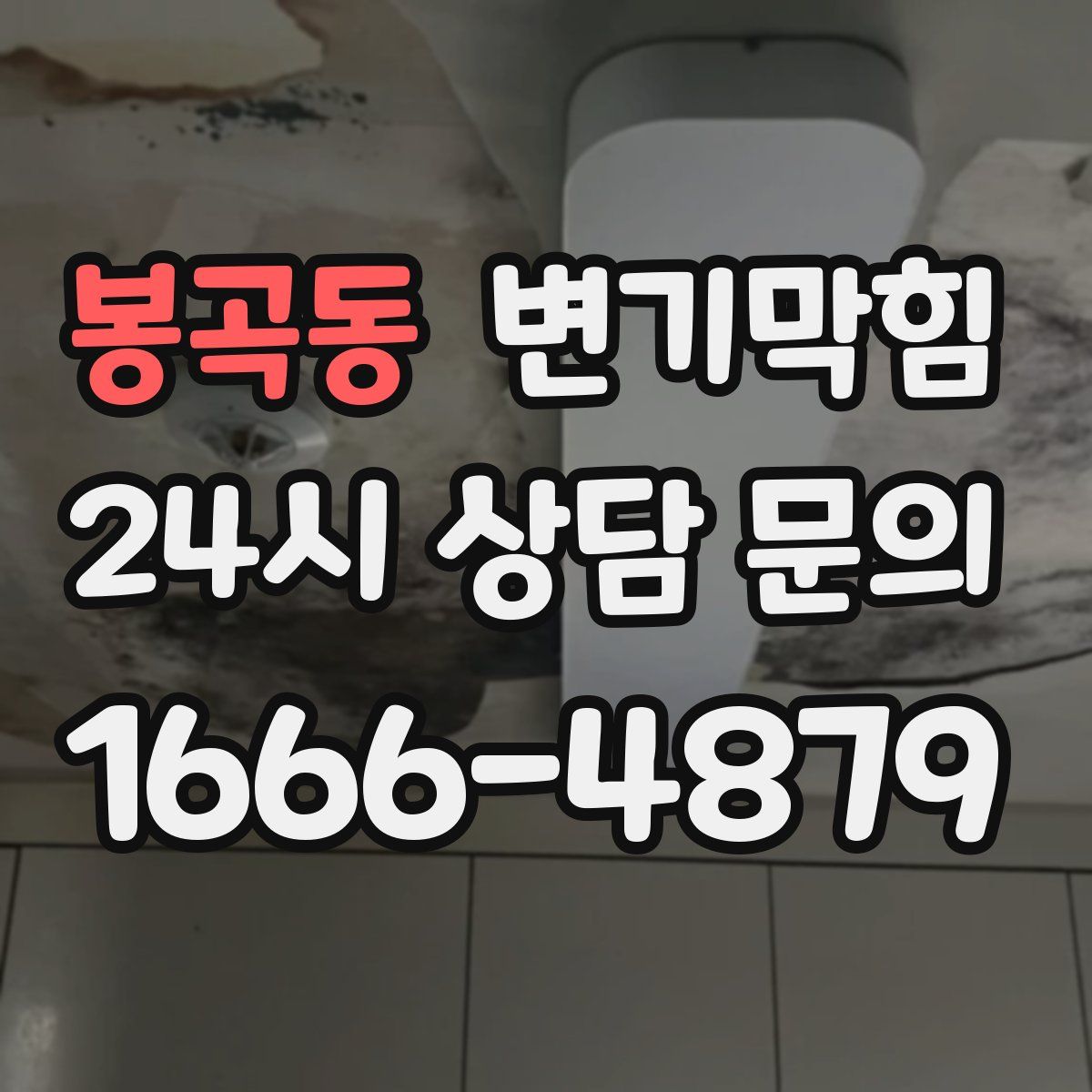 봉곡동 변기막힘