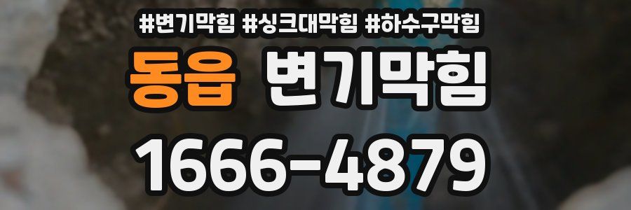변기막힘