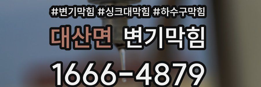 변기막힘