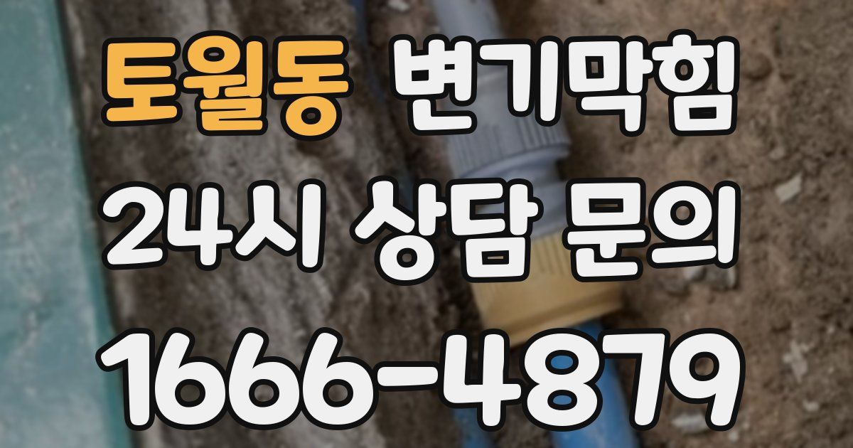 토월동 변기