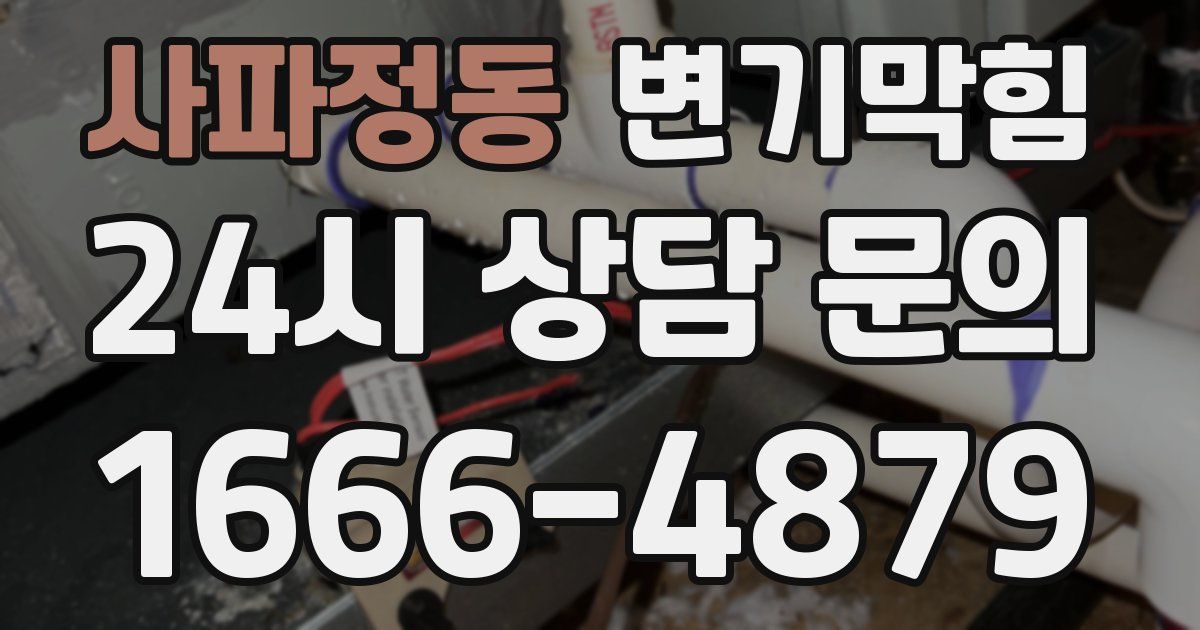 사파정동 변기
