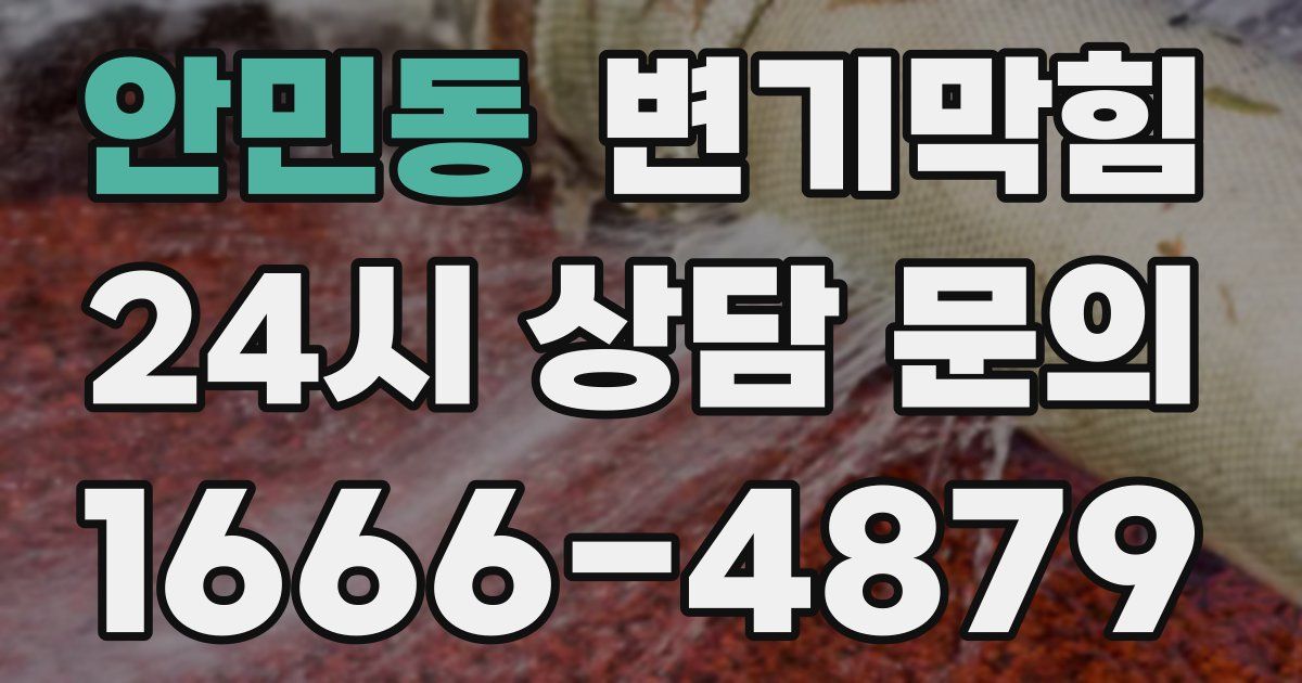 안민동 변기