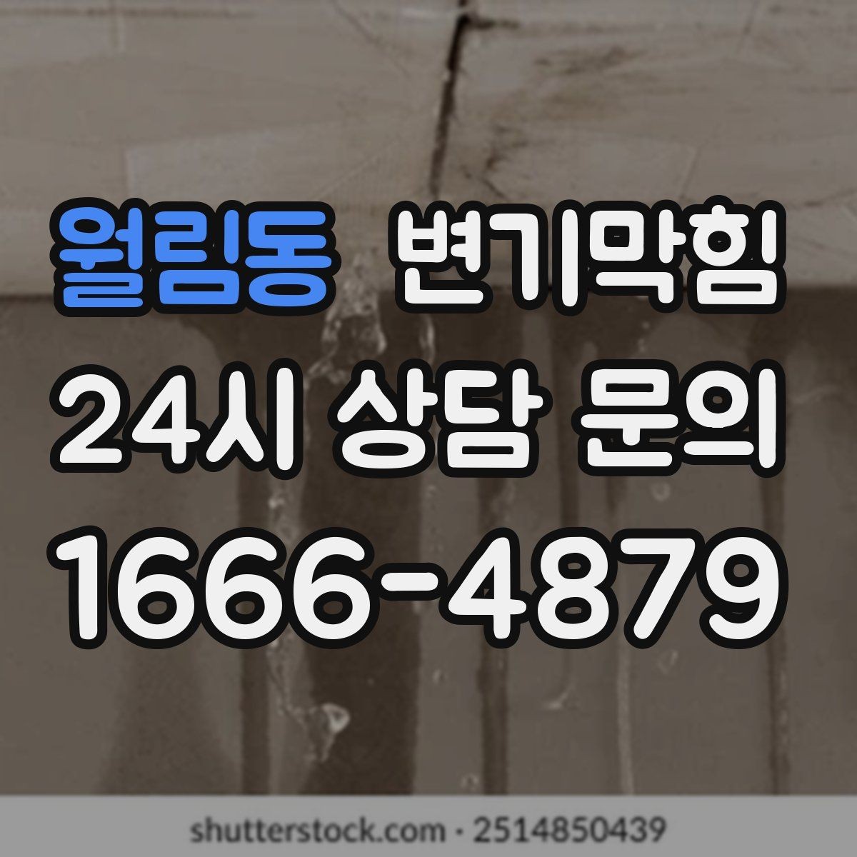 월림동 변기막힘 빌라 화장실막힘 통기관 점검 결과