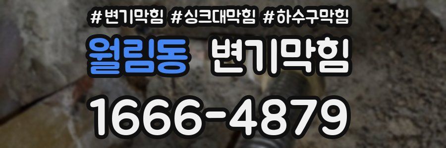 변기막힘