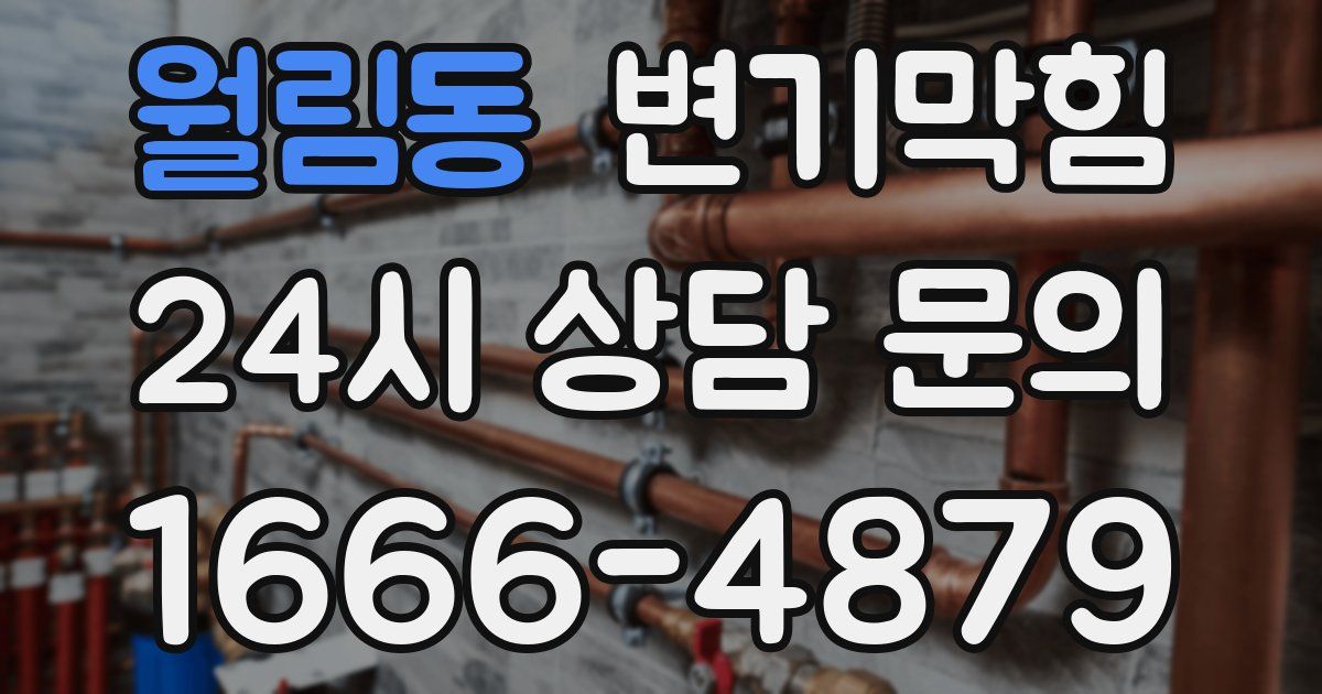 월림동 변기