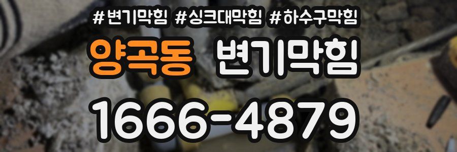 변기막힘