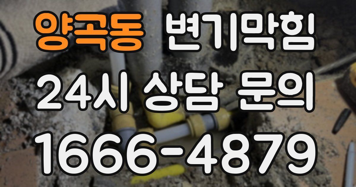 양곡동 변기