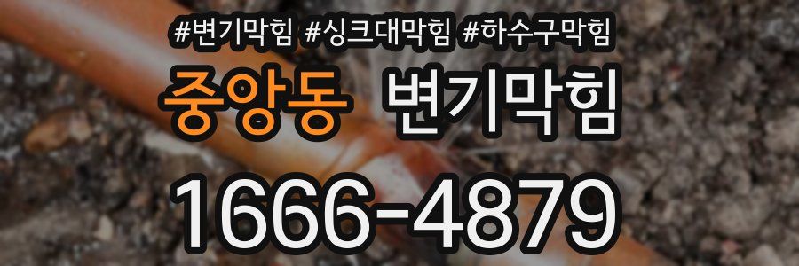 변기막힘