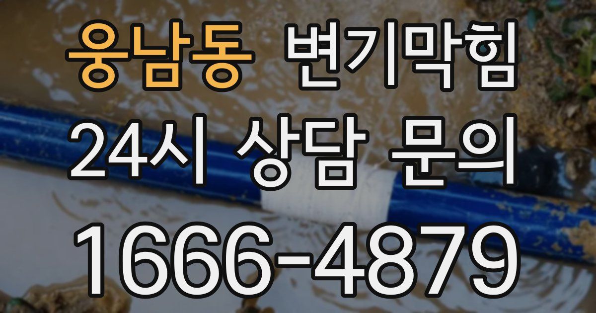 웅남동 변기