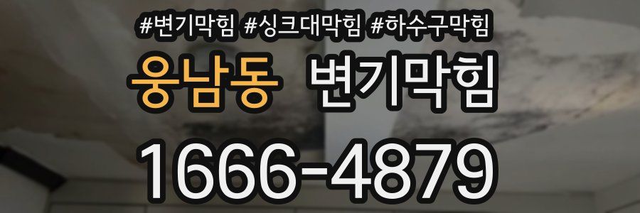 변기막힘