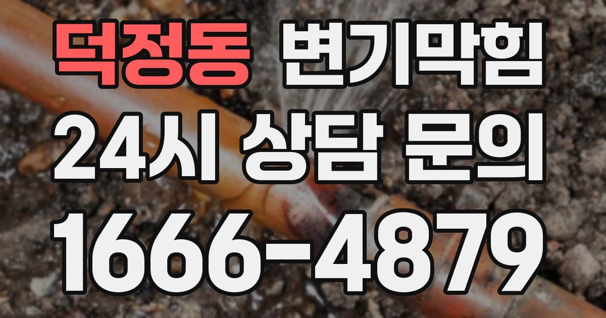 덕정동 변기