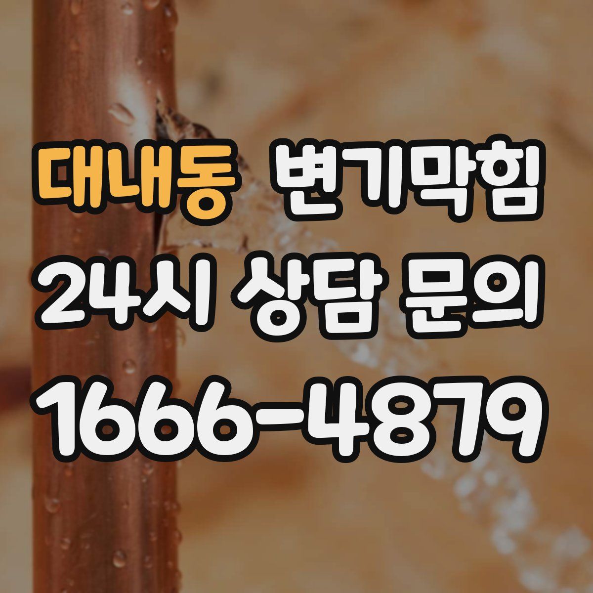 대내동 변기막힘