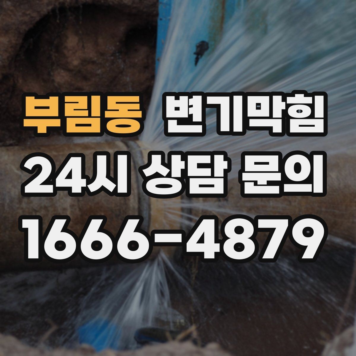부림동 변기막힘 단독 주택 배수구막힘 장판 얼룩 해결