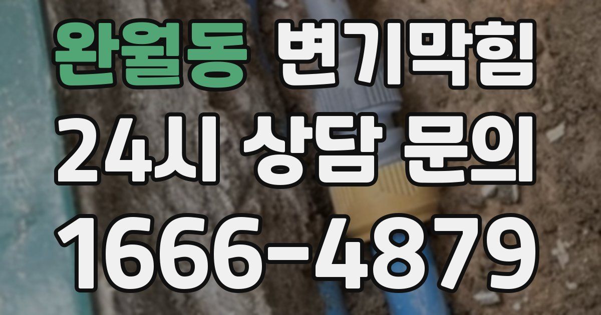 완월동 변기