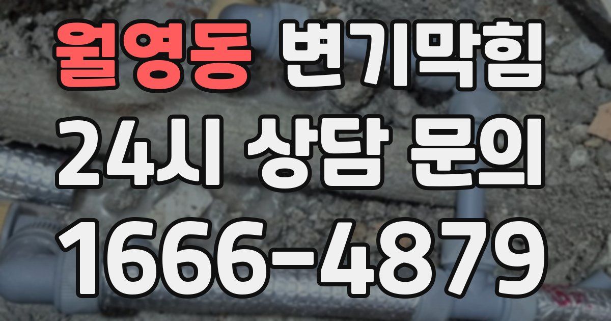 월영동 변기