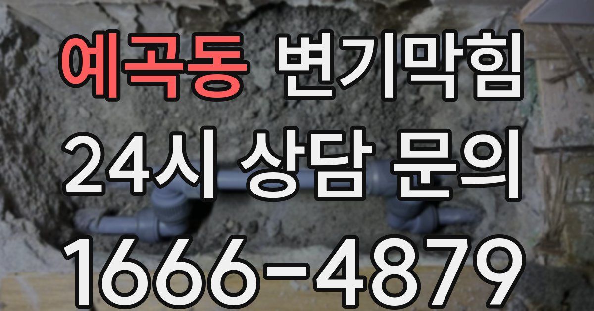 예곡동 변기