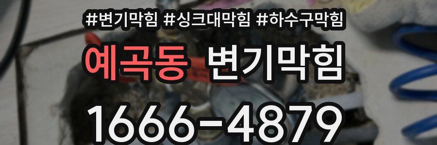 변기막힘