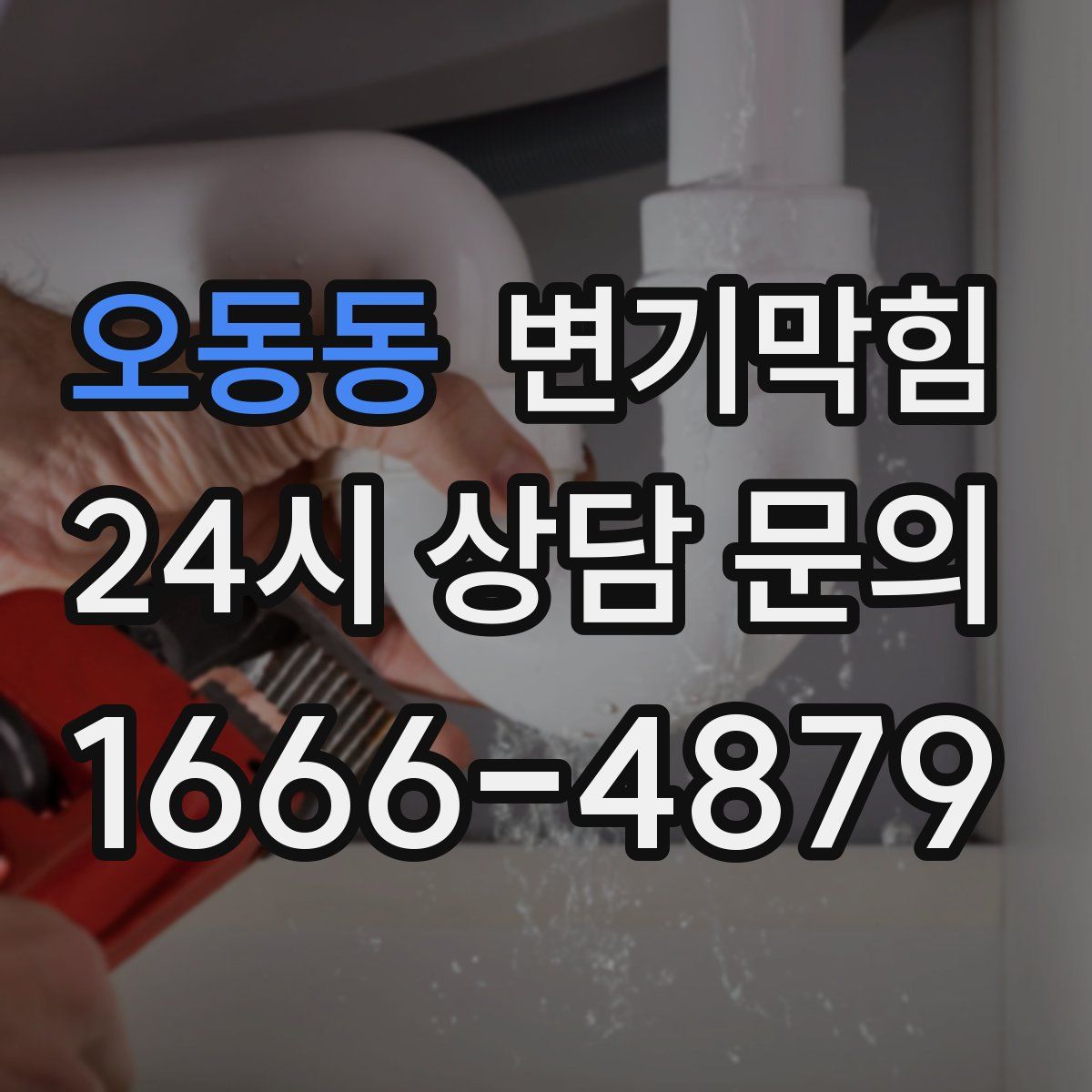 오동동 변기막힘