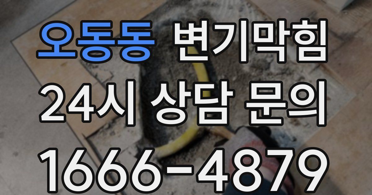 오동동 변기