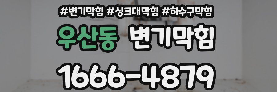 변기막힘