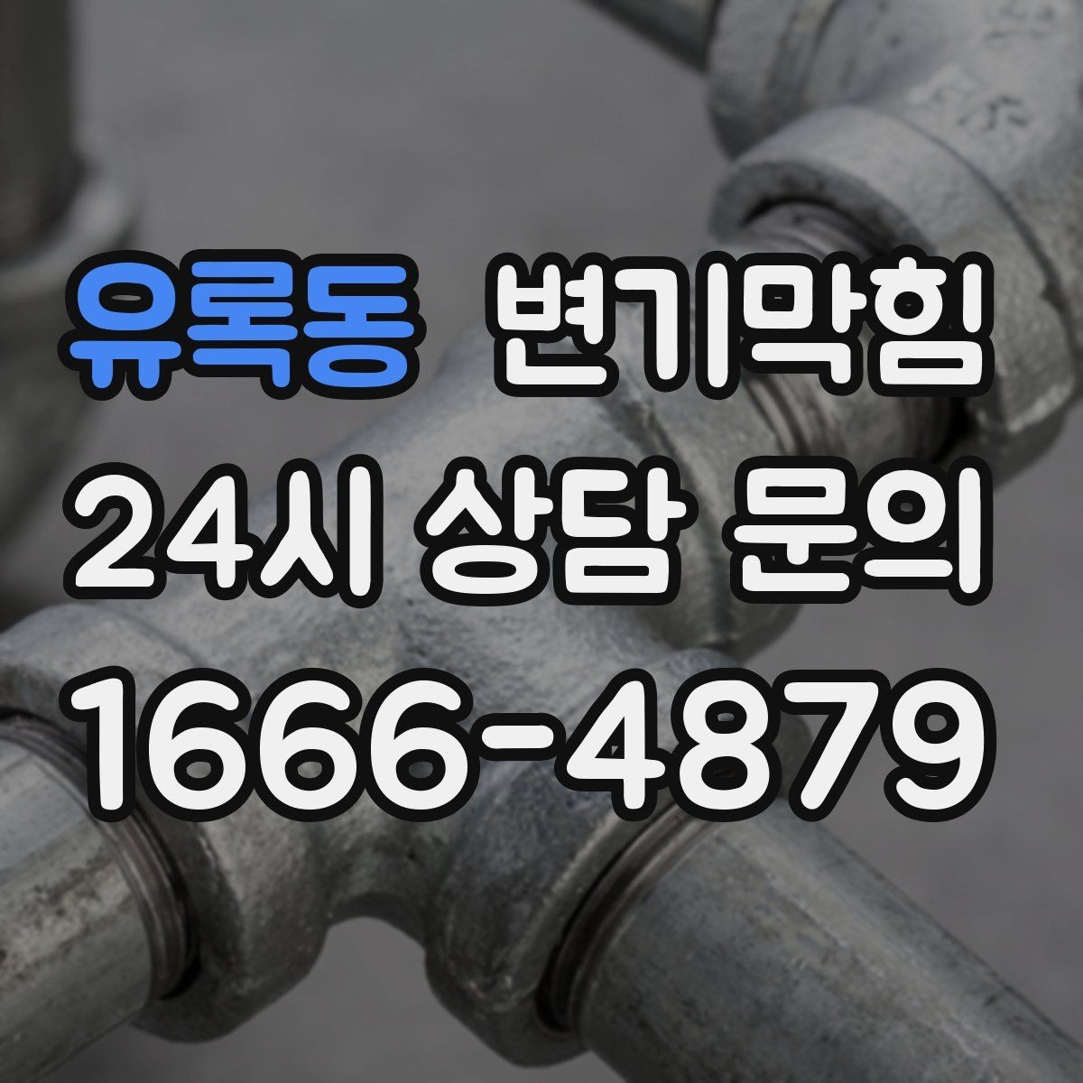 유록동 변기막힘 식당 화장실역류 합류 간섭 해소