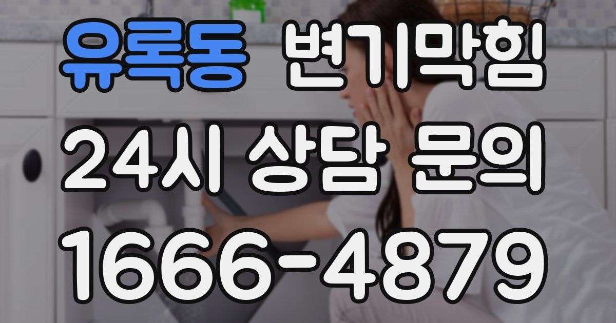 유록동 변기