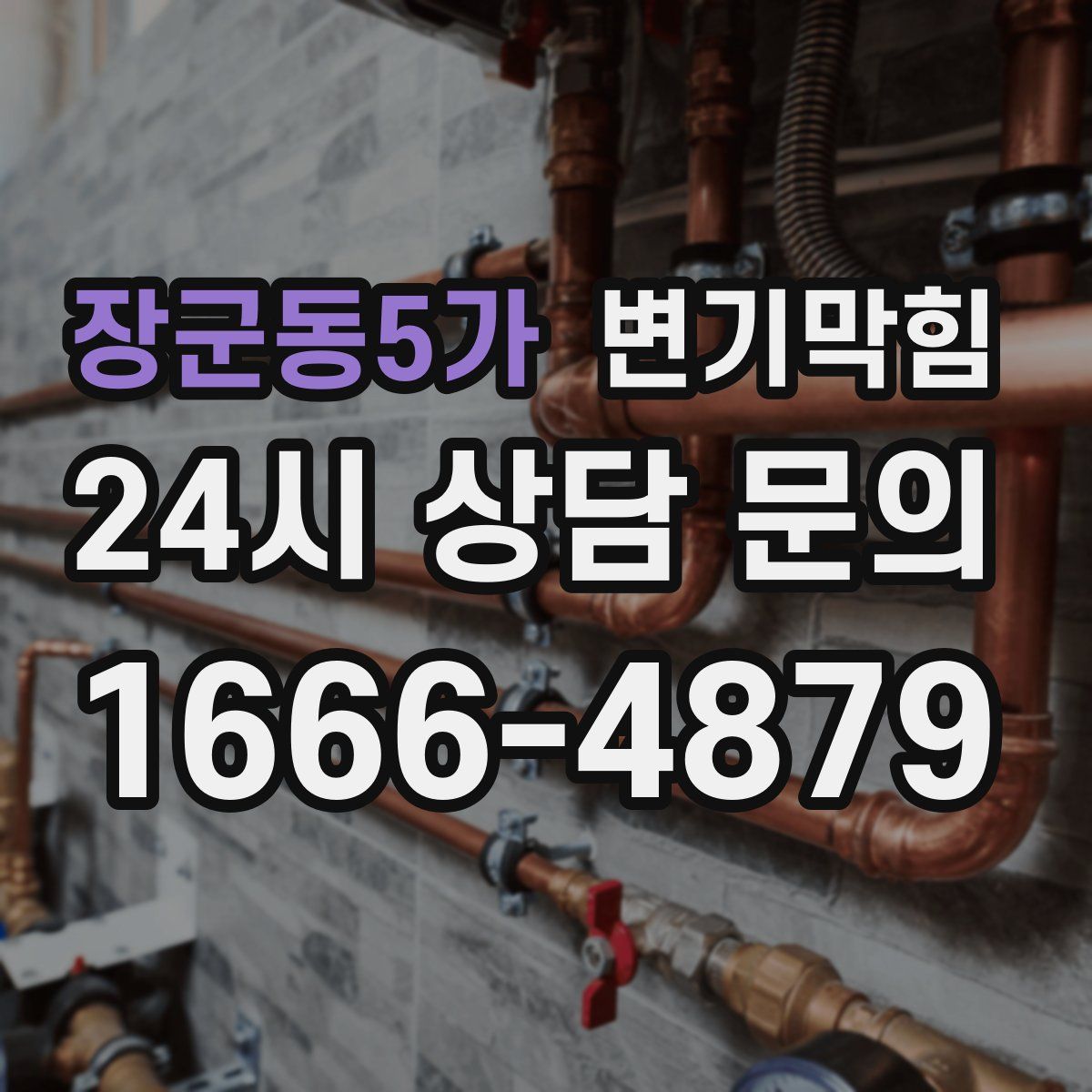 장군동5가 변기막힘