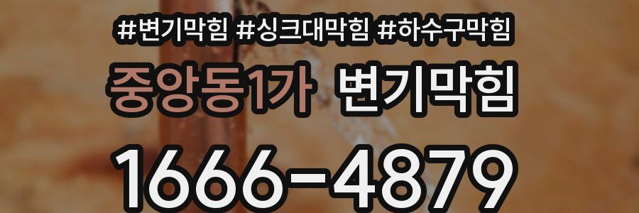 변기막힘