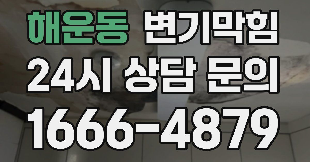 해운동 변기