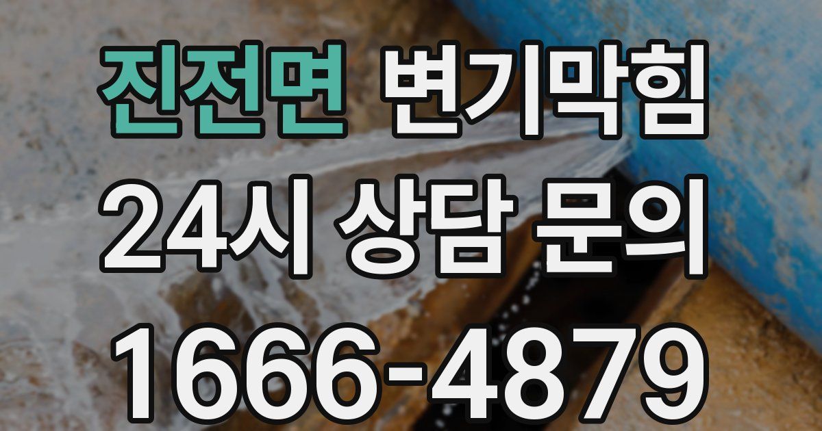 진전면 변기