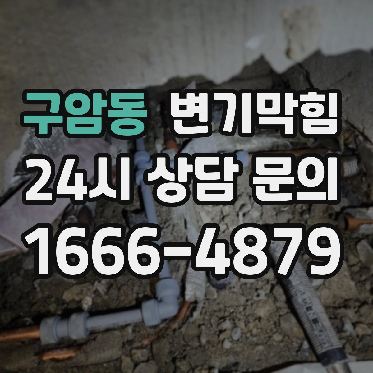 구암동 변기막힘